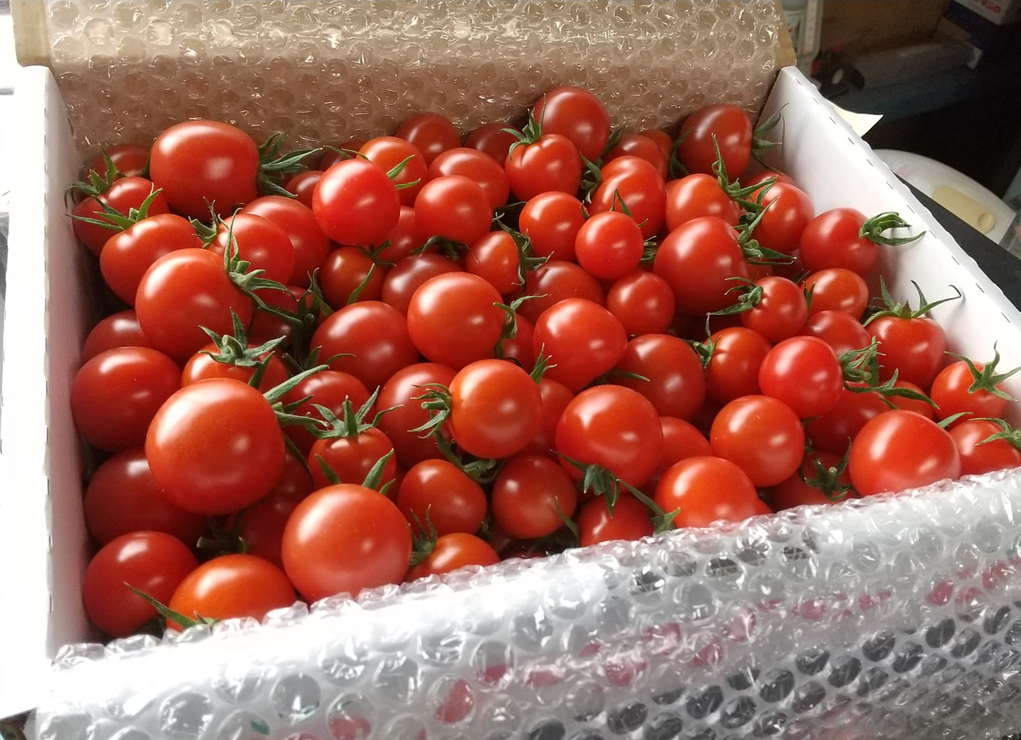 ミニトマト エコスイート 約2kg (箱入り)