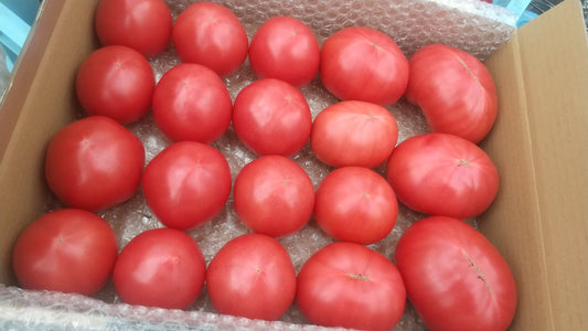 天下無双トマト 約3kg(箱入り)