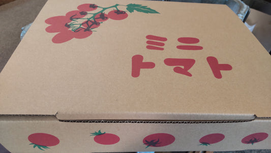 ミニトマト エコスイート 約3kg(箱入り)