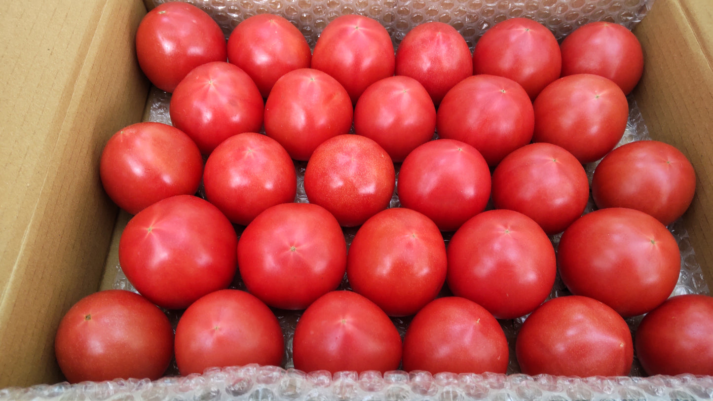 天下無双トマト 約3kg(箱入り)
