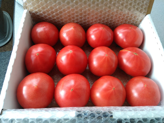 天下無双トマト 約2kg(箱入り)